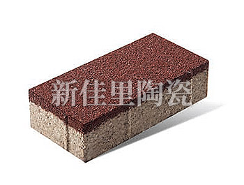 深圳100*200mm 陶瓷透水磚 紅色